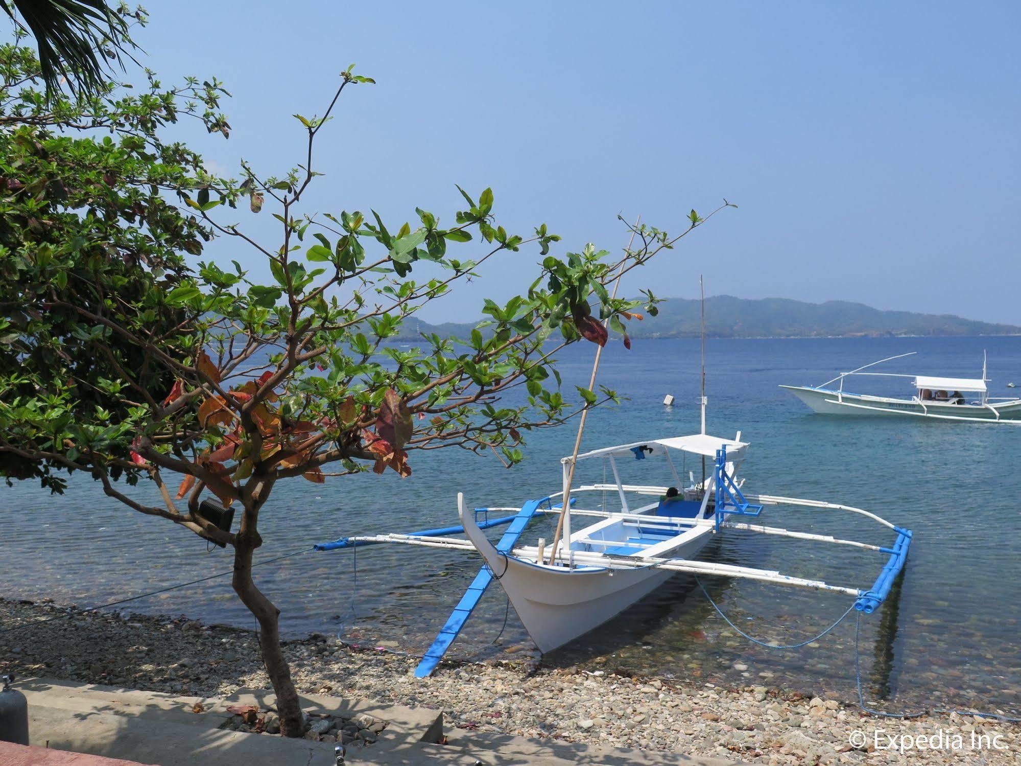 Planet Dive Hotel Mabini  Eksteriør billede